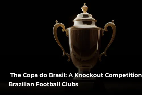  The Copa do Brasil: A Knockout Competition for Brazilian Football Clubs 